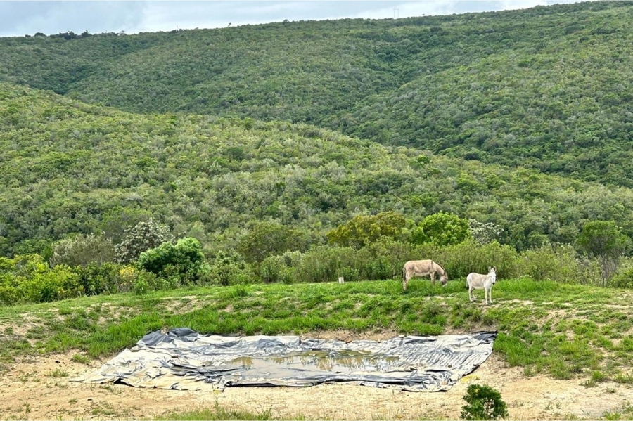 9 Bedroom Property for Sale in East London Rural Eastern Cape